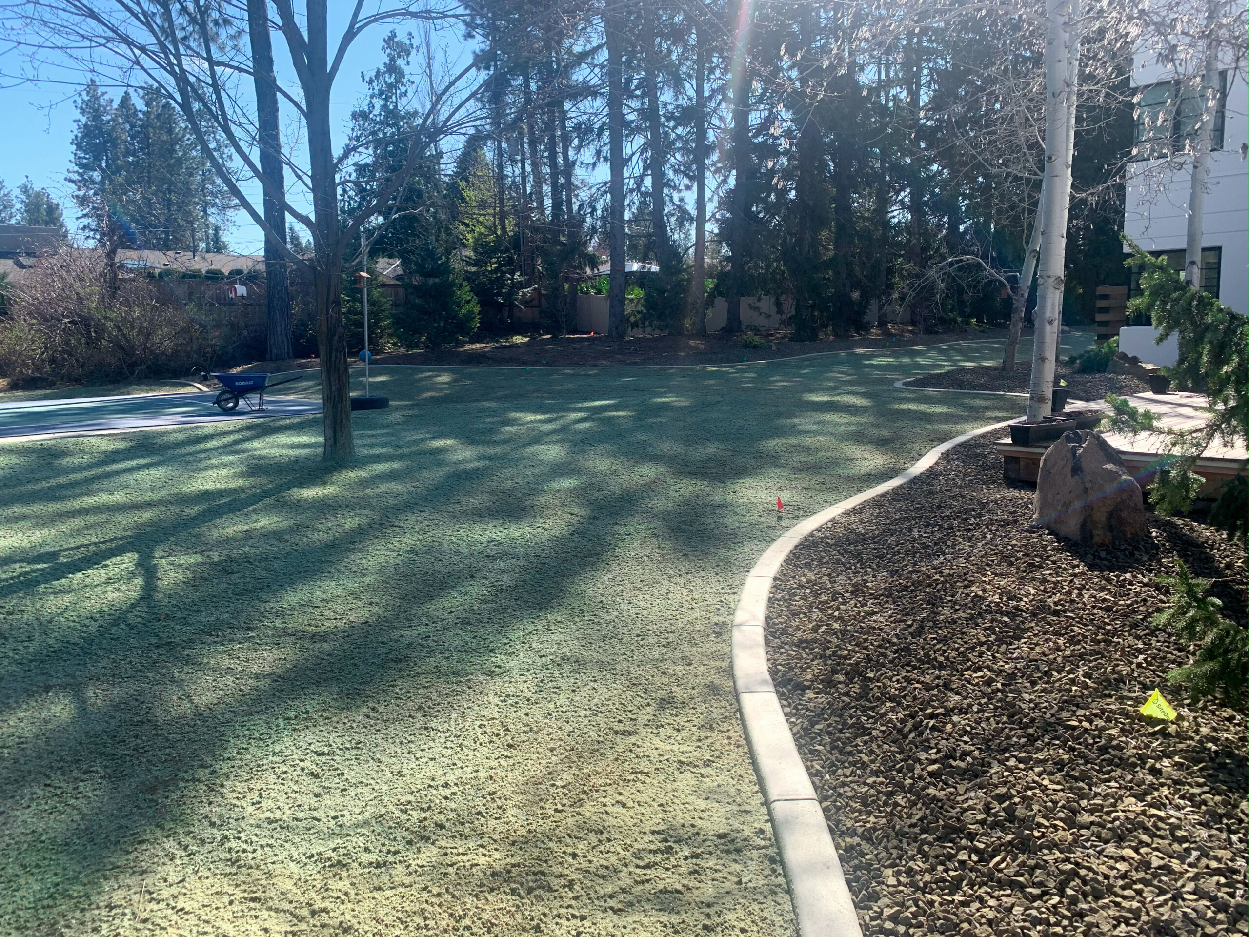 lawn-seeding Lawn Seeding Spokane